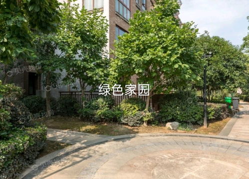 紹興市綠澤家園房產信息咨詢服務部 您的專業(yè)房產信息咨詢伙伴